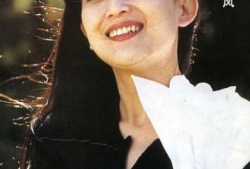 陈瑾主演的电视剧,倾情演绎时代女性的坚韧与成长